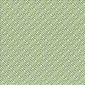 Royal Pagoda Kiwi by Kasmir Designer Fabric