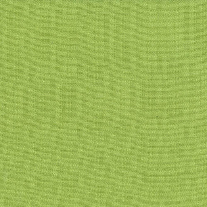 Rumba Lime by Kasmir Designer Fabric 5044 80% Polyester
20% Cotton
 CHINA </p><p>Repeat: Horizontal: N/A and Vertical: N/A 56 - 58 - Swanky Fabrics -