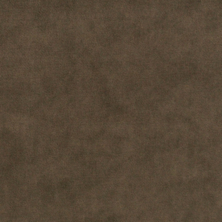 S7133 Sparrow by Greenhouse Designer Fabric - 75% Polyester, 25% Cotton China 201000 None 54" - Swanky Fabrics -