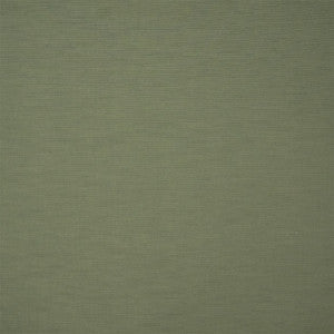 S7172 Fern by Greenhouse Designer Fabric