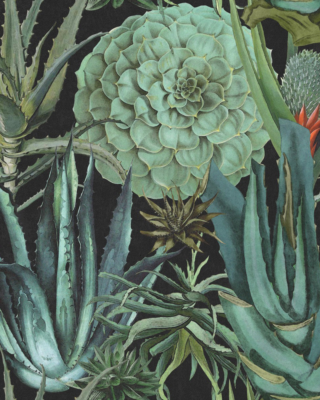 Succulentus Anthracite wallpaper by Mind the Gap (WP20167), swatch