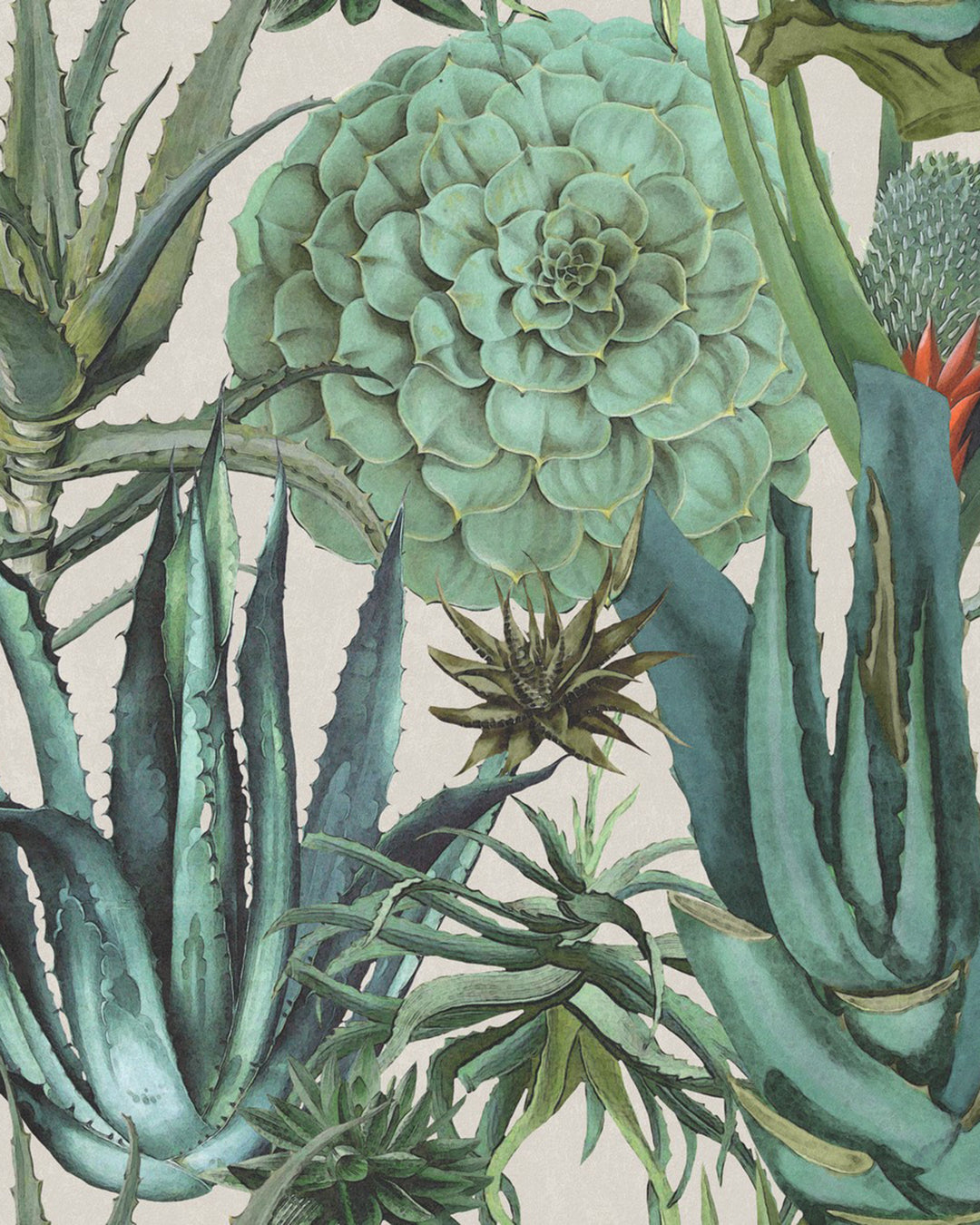 Succulentus wallpaper by Mind the Gap (WP20168), swatch