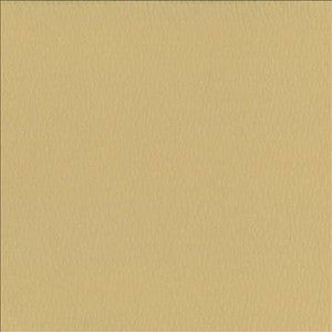 Saint Honore Cookie by Kasmir Designer Fabric