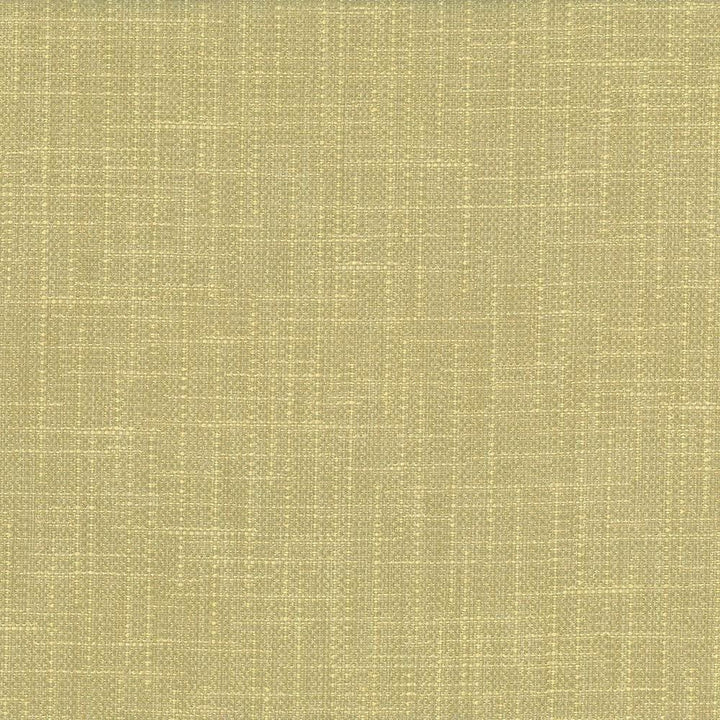 San Carlos Aloe by Kasmir Designer Fabric 5050 100% Polyester
 INDIA </p><p>Repeat: Horizontal: N/A and Vertical: N/A 54 - 55 - Swanky Fabrics -