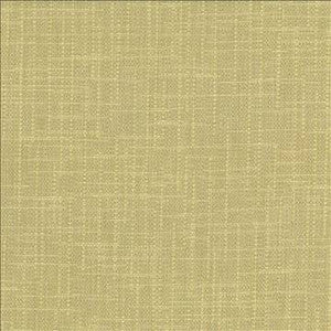 San Carlos Aloe by Kasmir Designer Fabric