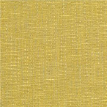 San Carlos Citrine by Kasmir Designer Fabric 5050 100% Polyester INDIA 25,000 Wyzenbeek Double Rubs H: N/A, V: N/A 54 - 55 - Swanky Fabrics - Kasmir