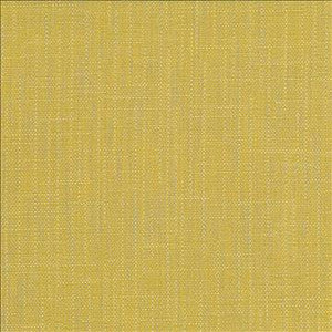 San Carlos Citrine by Kasmir Designer Fabric