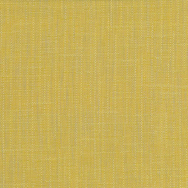 San Carlos Citrine by Kasmir Designer Fabric See sample 100% Polyester
 INDIA 25,000 Wyzenbeek Double Rubs </p><p>Repeat: Horizontal: N/A and Vertical: N/A 54 - Swanky Fabrics -