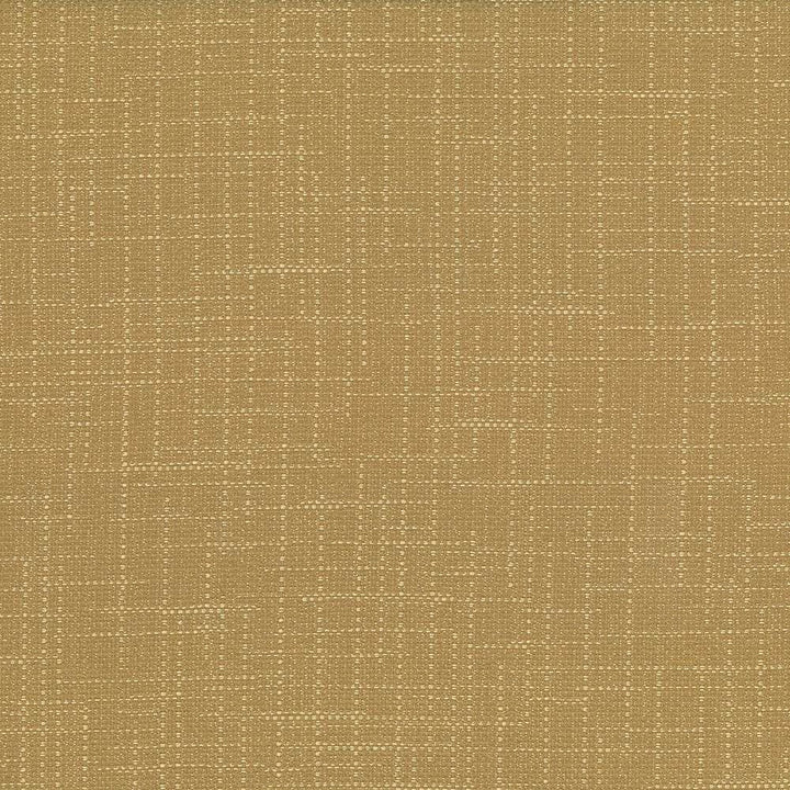San Carlos Dune  by Kasmir Designer Fabric 5050 100% Polyester
 INDIA 25,000 Wyzenbeek Double Rubs Horizontal: N/A and Vertical: N/A 54  - Swanky Fabrics -
