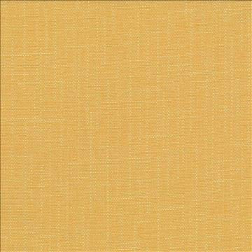 San Carlos Golden by Kasmir Designer Fabric 5050 100% Polyester INDIA 25,000 Wyzenbeek Double Rubs H: N/A, V: N/A 54 - 55 - Swanky Fabrics - Kasmir