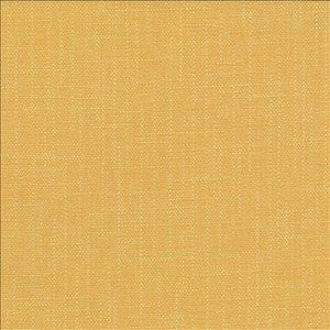 San Carlos Golden by Kasmir Designer Fabric