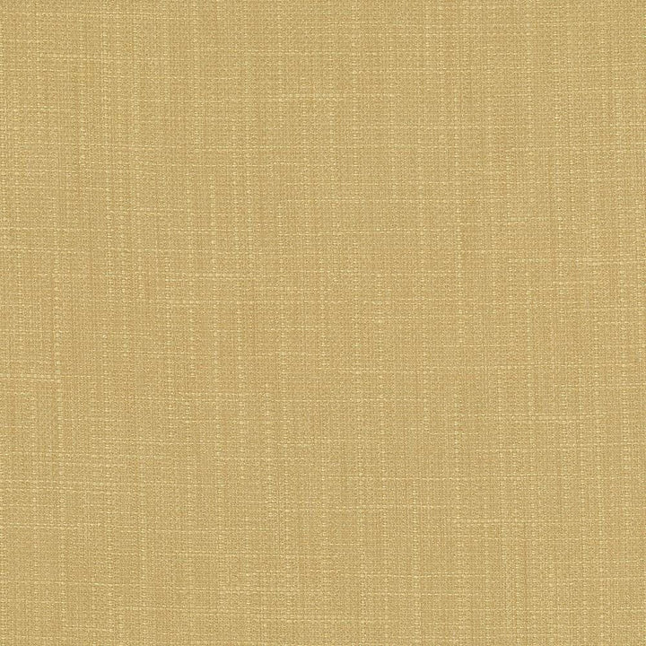 San Carlos Hemp by Kasmir Designer Fabric 5050 100% Polyester INDIA 25,000 Wyzenbeek Double Rubs Horizontal: 0 Inches and Vertical: 0 Inches 54 - 55 - Swanky Fabrics -