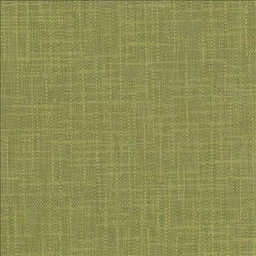 San Carlos Herb by Kasmir Designer Fabric 5050 100% Polyester INDIA 25,000 Wyzenbeek Double Rubs H: N/A, V: N/A 54 - 55 - Swanky Fabrics - Kasmir