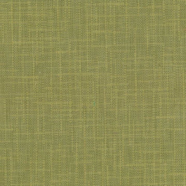 San Carlos Herb by Kasmir Designer Fabric 5050 100% Polyester INDIA 25,000 Wyzenbeek Double Rubs Horizontal: 0 Inches and Vertical: 0 Inches 54 - 55 - Swanky Fabrics -