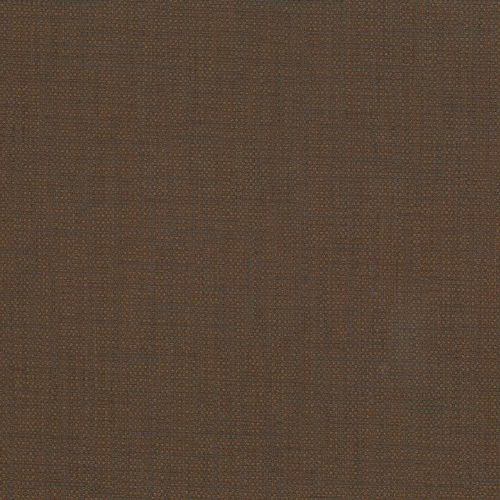 San Carlos Java by Kasmir Designer Fabric 5050 100% Polyester INDIA 25,000 Wyzenbeek Double Rubs Horizontal: 0 Inches and Vertical: 0 Inches 54 - 55 - Swanky Fabrics -