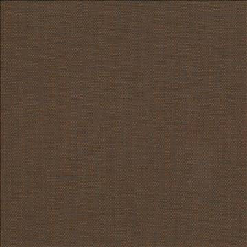 San Carlos Java by Kasmir Designer Fabric 5050 100% Polyester INDIA 25,000 Wyzenbeek Double Rubs H: N/A, V: N/A 54 - 55 - Swanky Fabrics - Kasmir