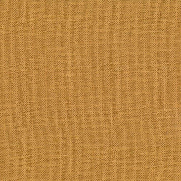 San Carlos Maize by Kasmir Designer Fabric 5050 100% Polyester
 INDIA 25,000 Wyzenbeek Double Rubs </p><p>Repeat: Horizontal: N/A and Vertical: N/A 54 - Swanky Fabrics -