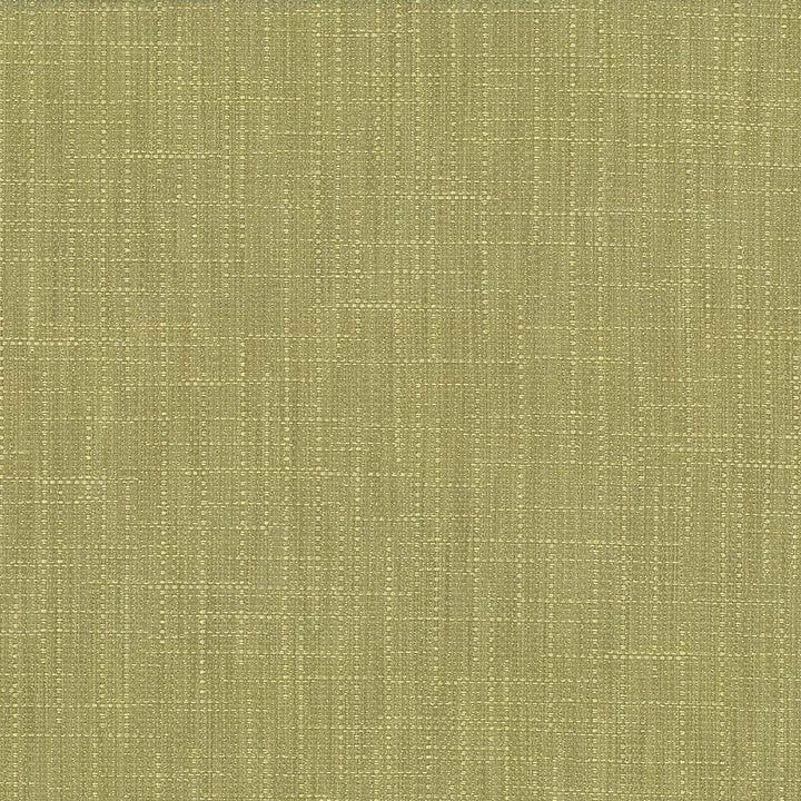 San Carlos Moss  by Kasmir Designer Fabric 5050 100% Polyester
 INDIA 25,000 Wyzenbeek Double Rubs Horizontal: N/A and Vertical: N/A 54  - Swanky Fabrics -