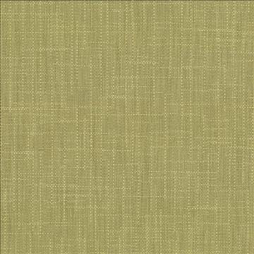 San Carlos Moss by Kasmir Designer Fabric 5050 100% Polyester INDIA 25,000 Wyzenbeek Double Rubs H: N/A, V: N/A 54 - 55 - Swanky Fabrics - Kasmir
