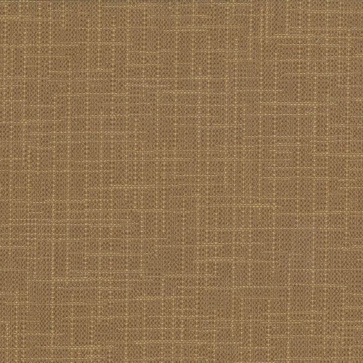 San Carlos Terrain by Kasmir Designer Fabric 5050 100% Polyester
 INDIA </p><p>Repeat: Horizontal: N/A and Vertical: N/A 54 - 55 - Swanky Fabrics -