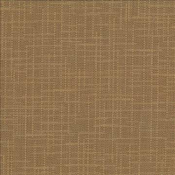 San Carlos Terrain by Kasmir Designer Fabric 5050 100% Polyester INDIA 25,000 Wyzenbeek Double Rubs H: N/A, V: N/A 54 - 55 - Swanky Fabrics - Kasmir
