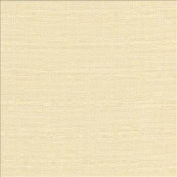 San Carlos White Chocolate by Kasmir Designer Fabric 5050 100% Polyester INDIA 25,000 Wyzenbeek Double Rubs H: N/A, V: N/A 54 - 55 - Swanky Fabrics - Kasmir