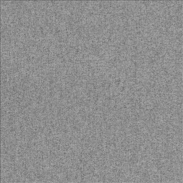 Sanderling Pearl Grey by Kasmir Designer Fabric 5100 100% Polyester CHINA 51,000 Wyzenbeek Double Rubs H: N/A, V: N/A 55 - Swanky Fabrics - Kasmir