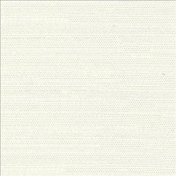 Santorini Cream by Kasmir Designer Fabric 5013 100% Polyester INDIA 30,000 Wyzenbeek Double Rubs H: N/A, V: N/A 54 - 55 - Swanky Fabrics - Kasmir