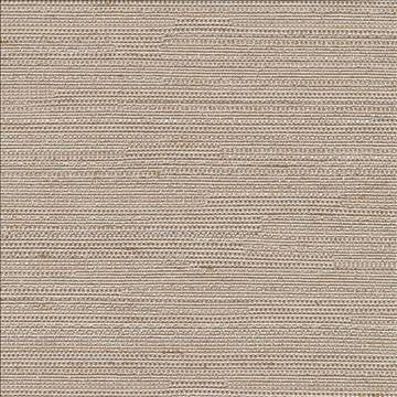 Santorini Fog by Kasmir Designer Fabric 5013 100% Polyester INDIA 30,000 Wyzenbeek Double Rubs H: N/A, V: N/A 54 - 55 - Swanky Fabrics - Kasmir