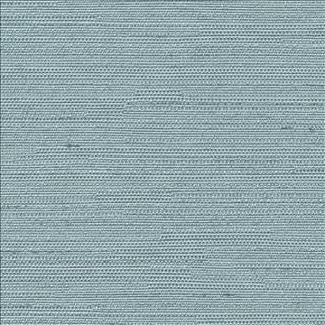 Santorini Ice Blue by Kasmir Designer Fabric 5013 100% Polyester INDIA 30,000 Wyzenbeek Double Rubs H: N/A, V: N/A 54 - 55 - Swanky Fabrics - Kasmir