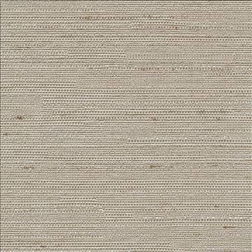Santorini Natural by Kasmir Designer Fabric 5013 100% Polyester INDIA 30,000 Wyzenbeek Double Rubs H: N/A, V: N/A 54 - 55 - Swanky Fabrics - Kasmir