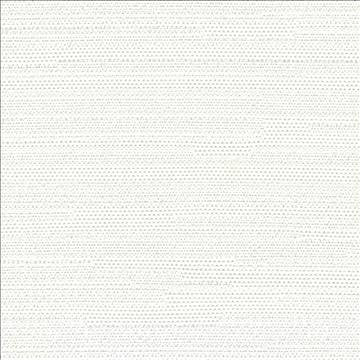 Santorini Off White by Kasmir Designer Fabric 5013 100% Polyester INDIA 30,000 Wyzenbeek Double Rubs H: N/A, V: N/A 54 - 55 - Swanky Fabrics - Kasmir
