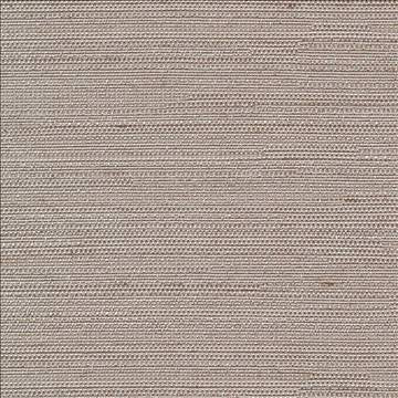 Santorini Pewter by Kasmir Designer Fabric 5013 100% Polyester INDIA 30,000 Wyzenbeek Double Rubs H: N/A, V: N/A 54 - 55 - Swanky Fabrics - Kasmir