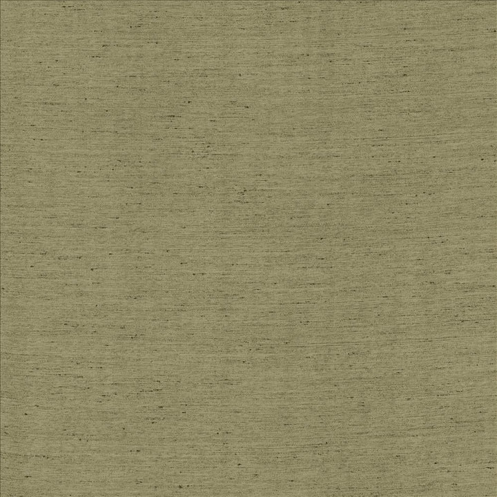 Santorini Silver Sage by Kasmir Designer Fabric 5150 100% Polyester
 INDIA 20,000 Wyzenbeek Double Rubs </p><p>Repeat: Horizontal: N/A and Vertical: N/A 54 - Swanky Fabrics -