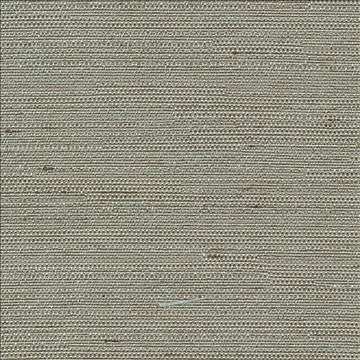 Santorini Silver Sage by Kasmir Designer Fabric 5013 100% Polyester INDIA 30,000 Wyzenbeek Double Rubs H: N/A, V: N/A 54 - 55 - Swanky Fabrics - Kasmir