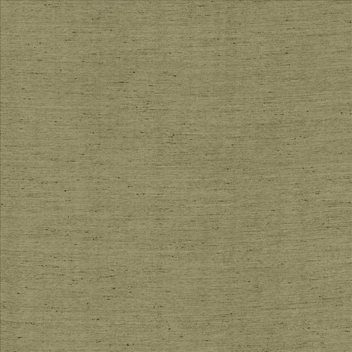 Santorini Silver Sage by Kasmir Designer Fabric 5150 100% Polyester
 INDIA </p><p>Repeat: Horizontal: N/A and Vertical: N/A 54 - Swanky Fabrics -