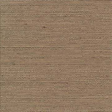 Santorini Stone by Kasmir Designer Fabric 5013 100% Polyester INDIA 30,000 Wyzenbeek Double Rubs H: N/A, V: N/A 54 - 55 - Swanky Fabrics - Kasmir