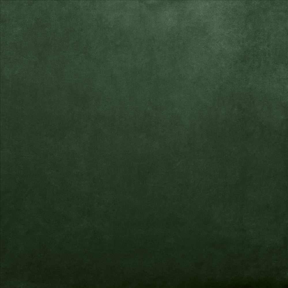 Savor Moss by Kasmir Designer Fabric 5151 100% Polyester
 CHINA </p><p>Repeat: Horizontal: N/A and Vertical: N/A 58 - Swanky Fabrics -