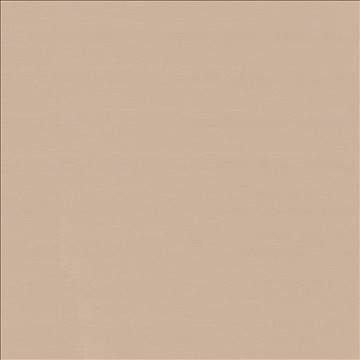 Savvy Buff by Kasmir Designer Fabric 5022 100% Cotton INDIA 10,000 Wyzenbeek Double Rubs H: N/A, V: N/A 54 - 55 - Swanky Fabrics - Kasmir