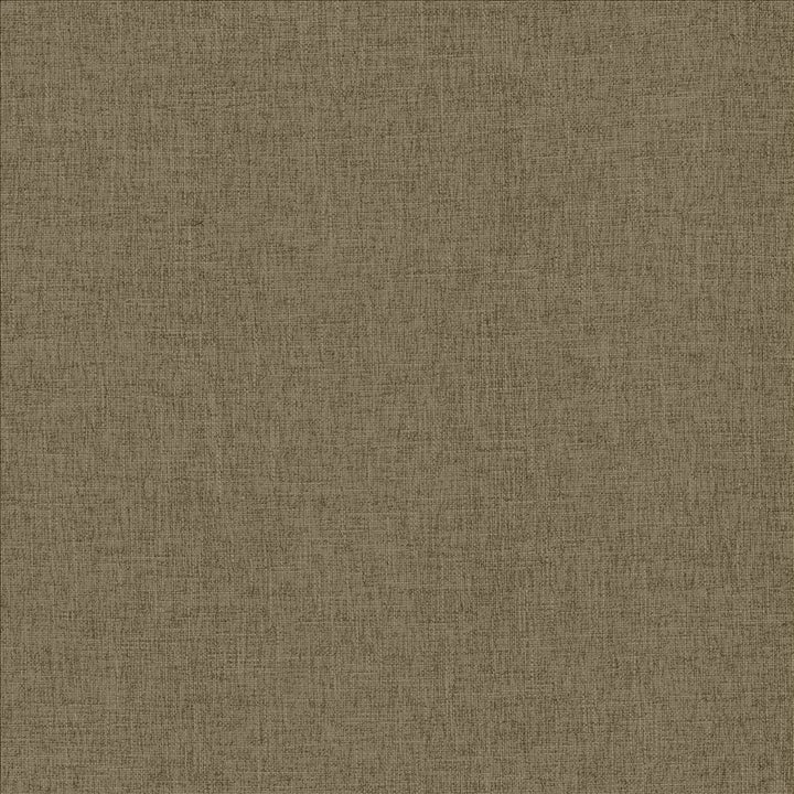 Scope Flax by Kasmir Designer Fabric 5159 100% Polyester CHINA 50,000 Wyzenbeek Double Rubs Horizontal: 0 Inches and Vertical: 0 Inches 54 - Swanky Fabrics -