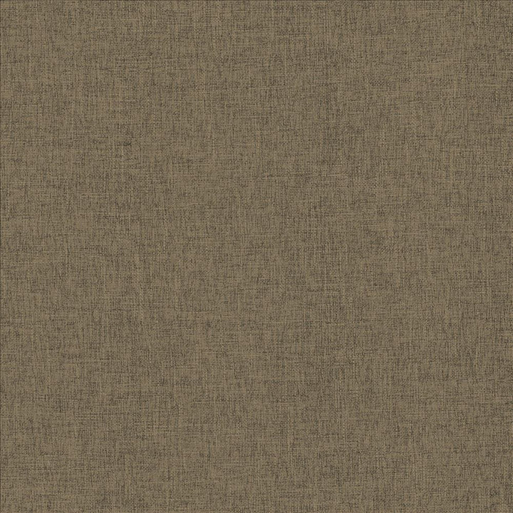 Scope Flax  by Kasmir Designer Fabric 5159 100% Polyester
 CHINA 50,000 Wyzenbeek Double Rubs Horizontal: N/A and Vertical: N/A 54  - Swanky Fabrics -