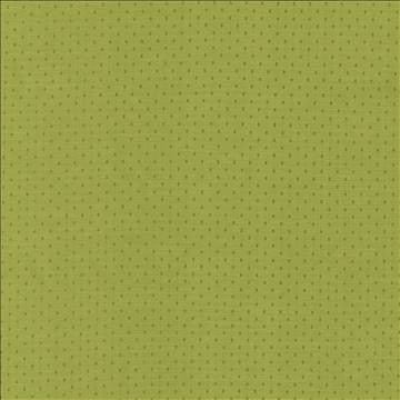 Scruple Lime by Kasmir Designer Fabric 5099 100% Polyester INDIA 20,000 Wyzenbeek Double Rubs H: 6/8 inches, V: 6/8 inches 54 - 55 - Swanky Fabrics - Kasmir