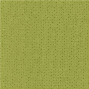 Scruple Lime by Kasmir Designer Fabric