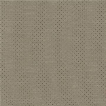 Scruple Slate by Kasmir Designer Fabric 5100 100% Polyester INDIA 20,000 Wyzenbeek Double Rubs H: 6/8 inches, V: 6/8 inches 54 - 55 - Swanky Fabrics - Kasmir