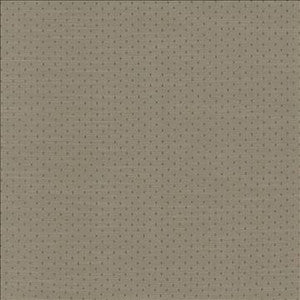 Scruple Slate by Kasmir Designer Fabric