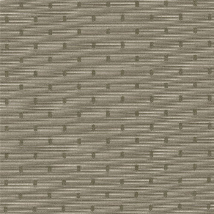 Scruple Slate by Kasmir Designer Fabric 5100 100% Polyester
 INDIA 20,000 Wyzenbeek Double Rubs </p><p>Repeat: Horizontal: 6/8 inches and Vertical: 6/8 inches 54 - Swanky Fabrics -