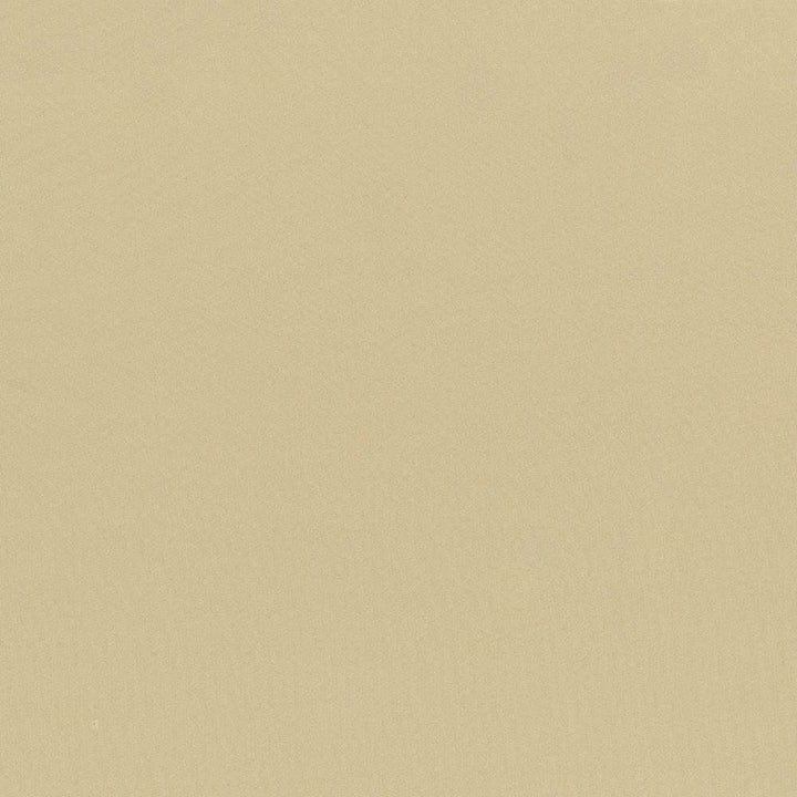Seductive Almond by Kasmir Designer Fabric 5052 100% Polyester
 INDIA 6,000 Wyzenbeek Double Rubs </p><p>Repeat: Horizontal: N/A and Vertical: N/A 53 - Swanky Fabrics -
