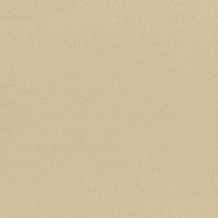 Seductive Almond by Kasmir Designer Fabric 5052 100% Polyester
 INDIA </p><p>Repeat: Horizontal: N/A and Vertical: N/A 53 - Swanky Fabrics -
