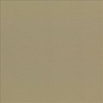 Seductive Antique by Kasmir Designer Fabric 5052 100% Polyester INDIA 6,000 Wyzenbeek Double Rubs H: N/A, V: N/A 53 - Swanky Fabrics - Kasmir