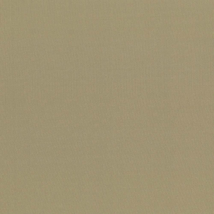 Seductive Antique  by Kasmir Designer Fabric 5052 100% Polyester
 INDIA 6,000 Wyzenbeek Double Rubs Horizontal: N/A and Vertical: N/A 53  - Swanky Fabrics -